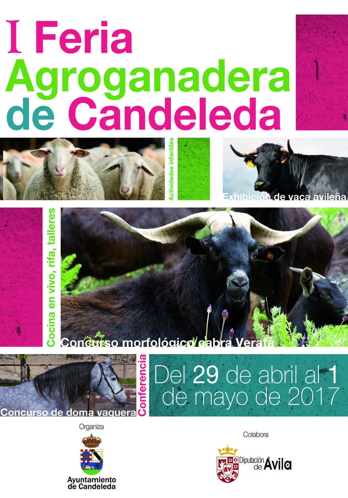 I Feria Agroganadera en Candeleda