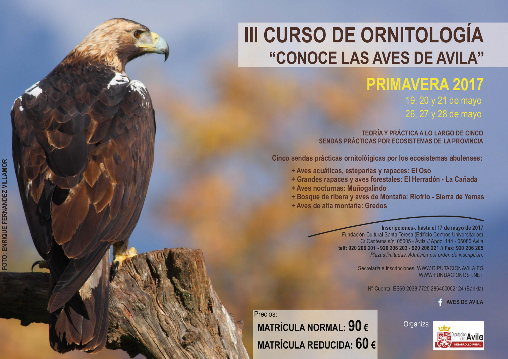 III Curso de Ornitología " Conoce las Aves de Ávila "