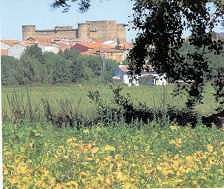 Productos tradicionales - JudÃas de El Barco de Ãvila