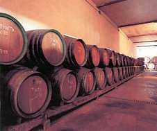 Productos Tradicionales - Vino de Cebreros