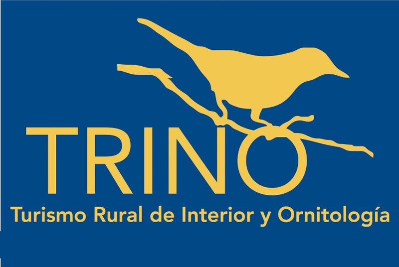 Proyecto Trino Proyecto Trino