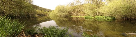 Panorama en Las Juntas