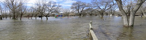 El Soto inundado
